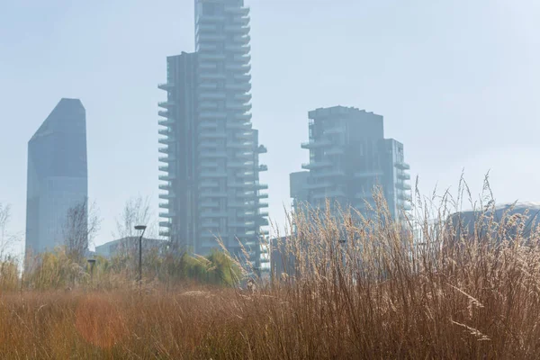 Complejo Moderno Edificios Oficinas Naturaleza — Foto de Stock