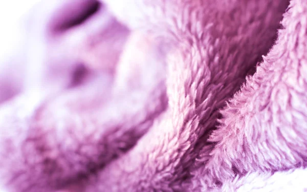 Purple Soft Cotton Texture — Stock Photo, Image