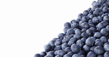 Blueberry arka plan, ultra gerçekçi 3D render