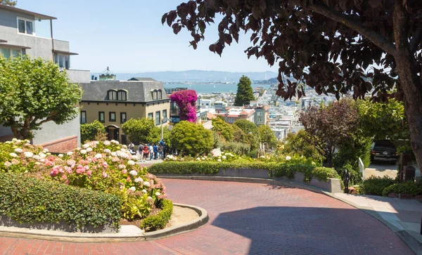 Famosa Lombard Street a San Francisco — Foto Stock