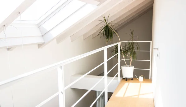 Interior del hogar minimalista y moderno, con hormigón blanco y b suave — Foto de Stock