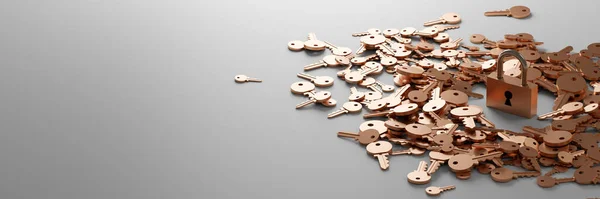 Sonsuz Anahtarlı Asma Kilit Problem Metaforu Çözümler Risk Yönetimi Orijinal — Stok fotoğraf