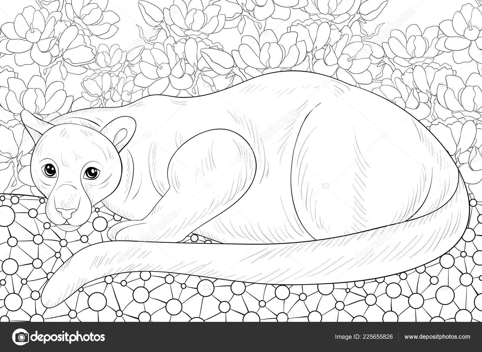 Adult Coloring Book Page Cute Panther Image Relaxing Zen Art Stock Vector  by ©nonuzza 225656240