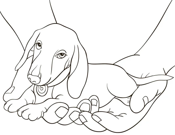 Cute Dog Two Hands Image Adults Relaxing Activity Line Art — Stock Vector