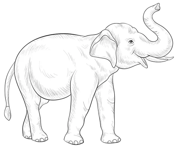 Симпатичне Зображення Слона Дорослих Лінійний Стиль Мистецтва Ілюстрація Розслаблюючої Діяльності — стоковий вектор