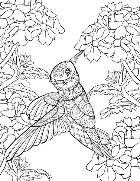 Roztomilý Kolibřík Shromáždit Obraz Pyl Květin Pro Dospělé Zen Art — Stockový vektor
