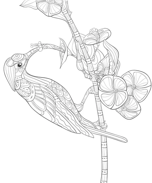 Colibri Mignon Rassembler Image Pollen Fleur Pour Adultes Illustration Style — Image vectorielle