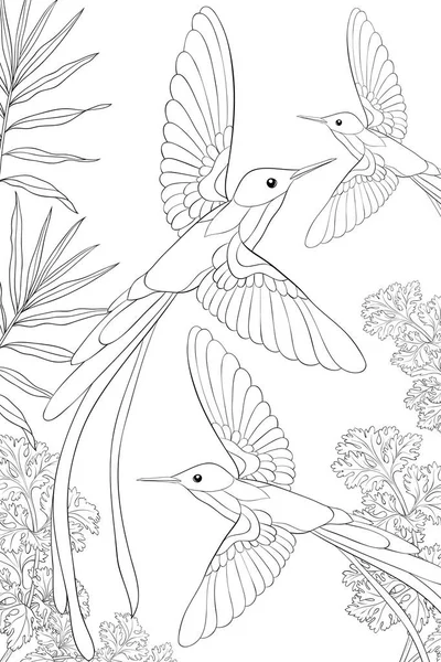 Group Hummingbirds Flying Background Flowers Image Adults Coloring Book Page — Stock Vector