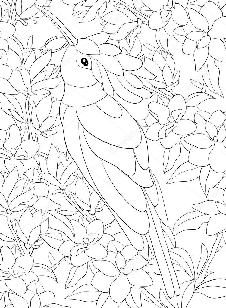 A cute hoopoe on the brunch image for relaxing activity.A coloring book,page for adults.Line art style illustration for print.Poster design.