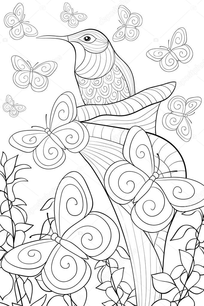 A cute hummingbird in a flower on the  background with butterflies image for relaxing activity.Zen art style illustration for adults.A coloring book,page for print.Poster design.