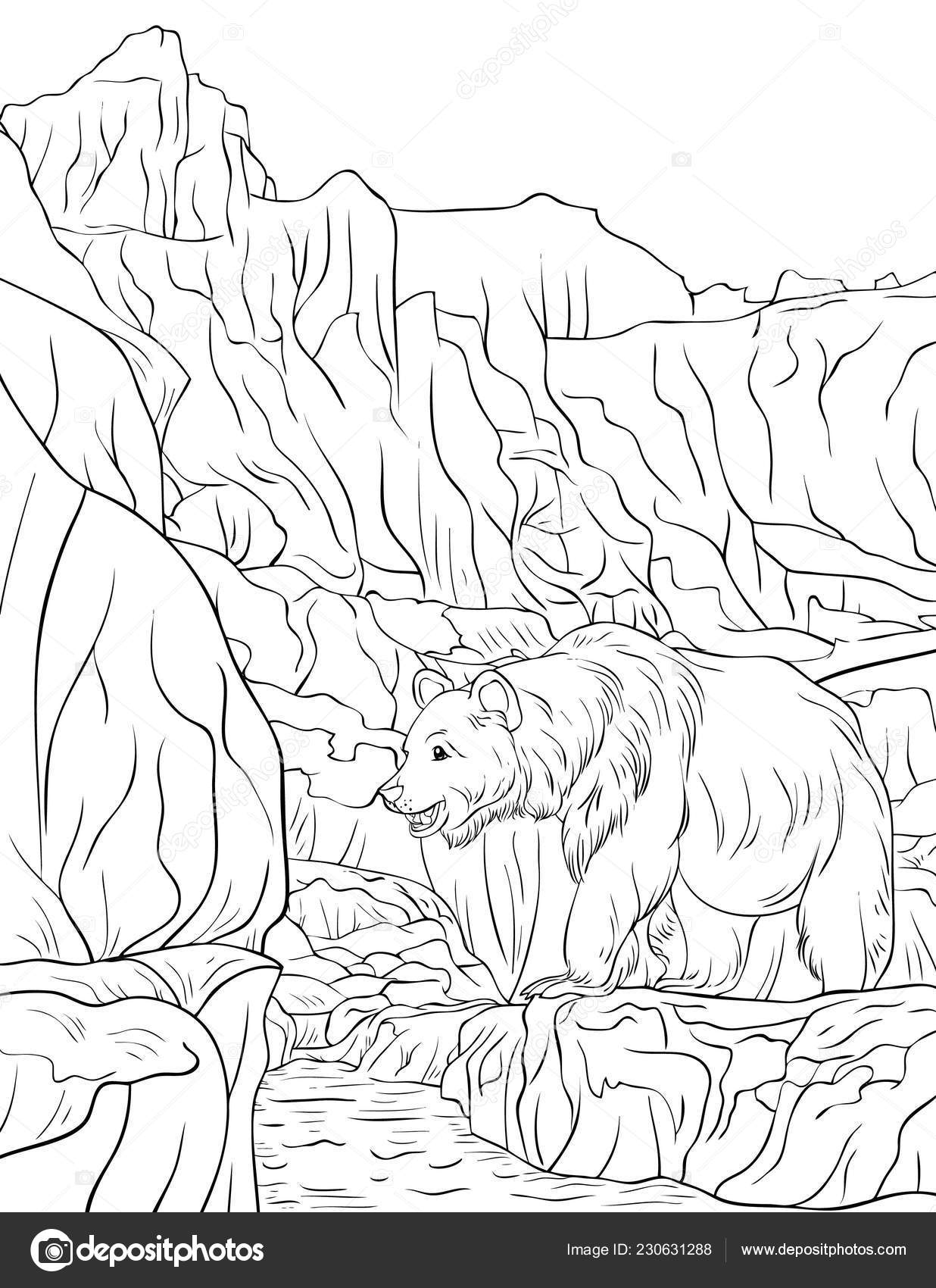 Nature Landscape Bear Mountains River Image Adults Line ...