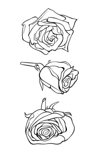 Drei Fowers Bild Für Erwachsene Zum Entspannen Activity Line Art — Stockvektor