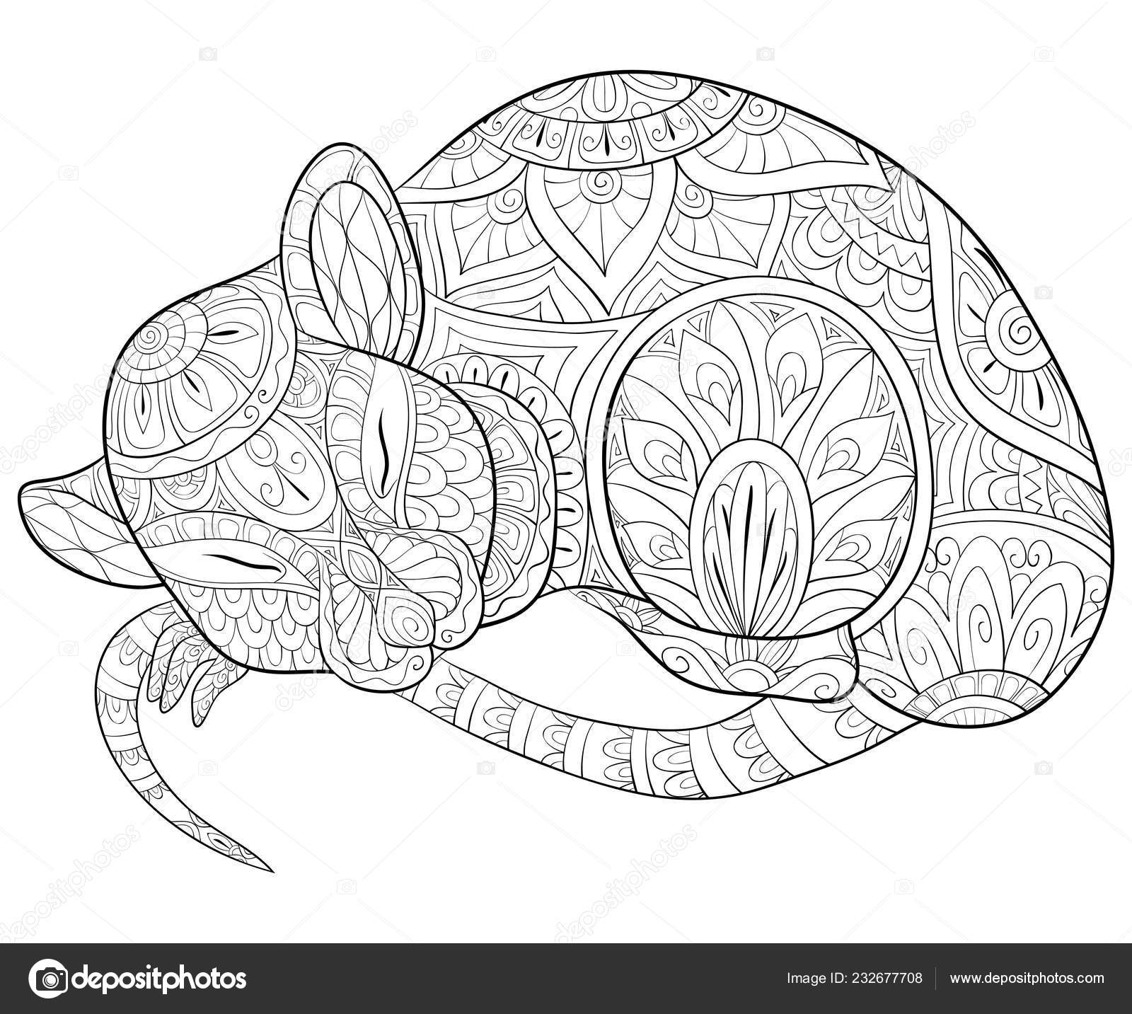 Cute Sleeping Rat Ornaments Image Relaxing Activity Coloring Book ...