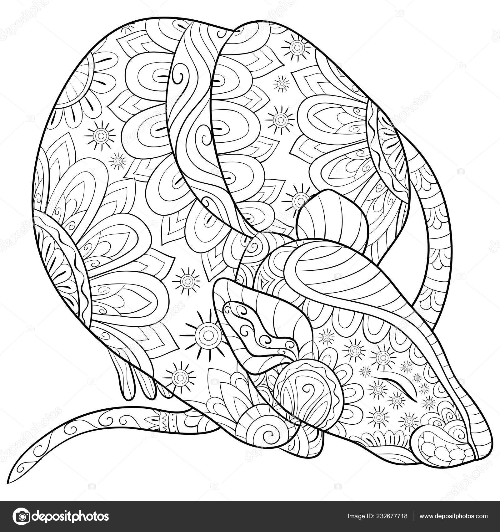 Cute Sleeping Rat Ornaments Image Relaxing Activity Coloring Book Page Stock Vector Royalty Free Vector Image By C Nonuzza 232677718
