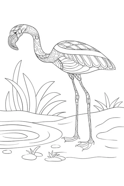 Cute Flamingo River Ornaments Background Coloring Book Page Adults Zen — стоковый вектор