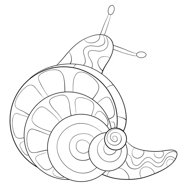 Caracol Lindo Con Adornos Imagen Para Relajar Actividad Libro Para — Vector de stock