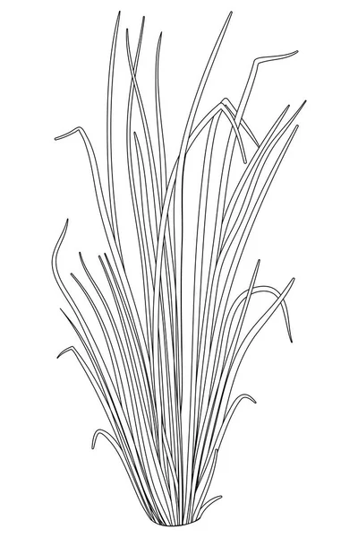 Une Plante Mignonne Avec Des Feuilles Image Pour Une Activité — Image vectorielle