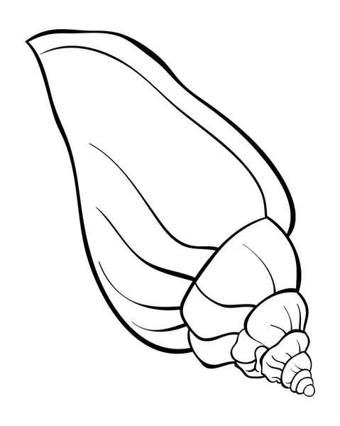 Une Image Coquille Mignonne Pour Une Activité Relaxante Livre Coloriage — Image vectorielle