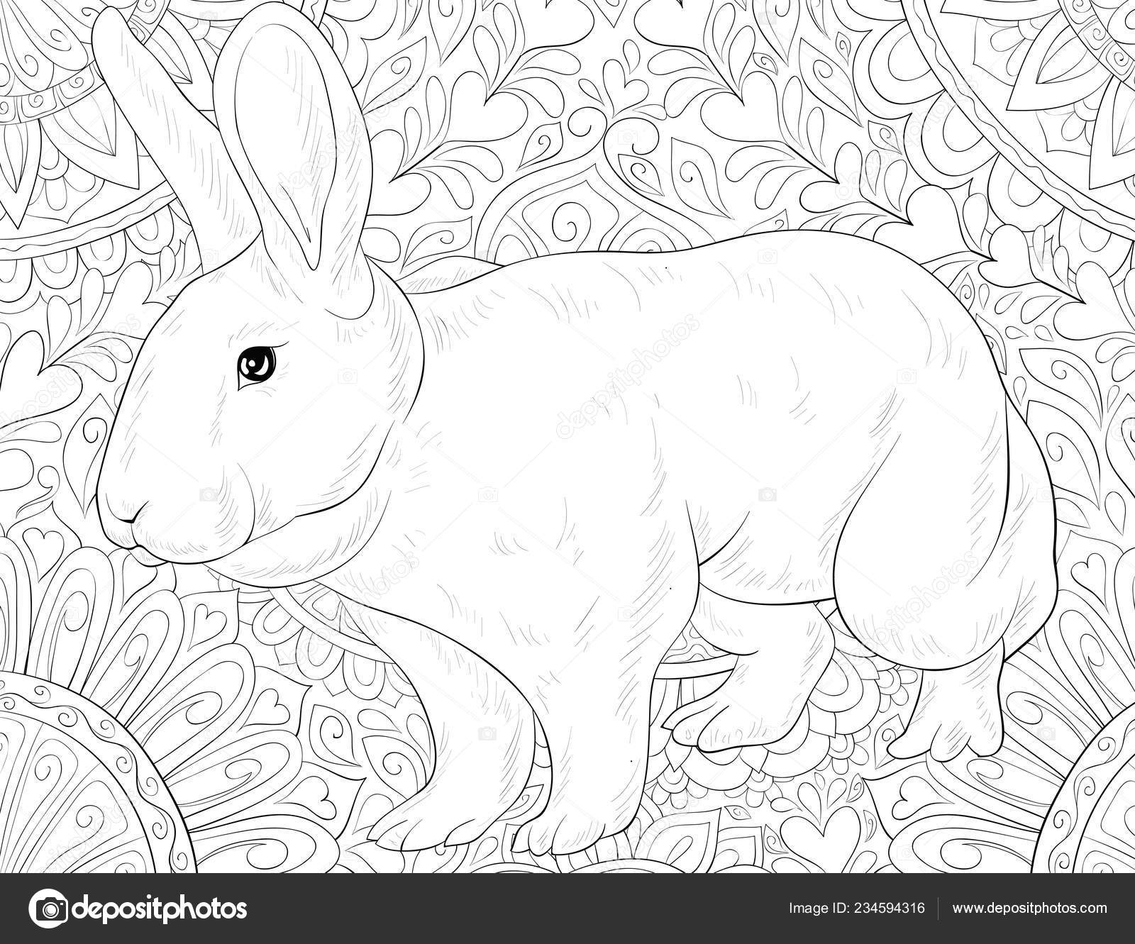 5500 Realistic Bunny Coloring Pages  HD
