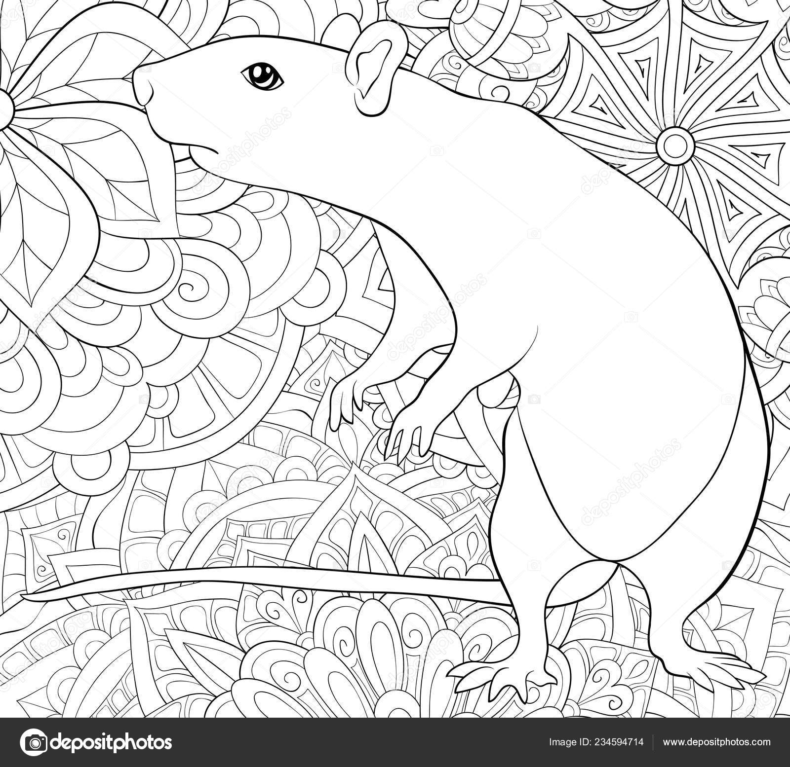 Download Cute Rat Abstract Floral Background Ornaments Image Relaxing Activity Coloring Vector Image By C Nonuzza Vector Stock 234594714