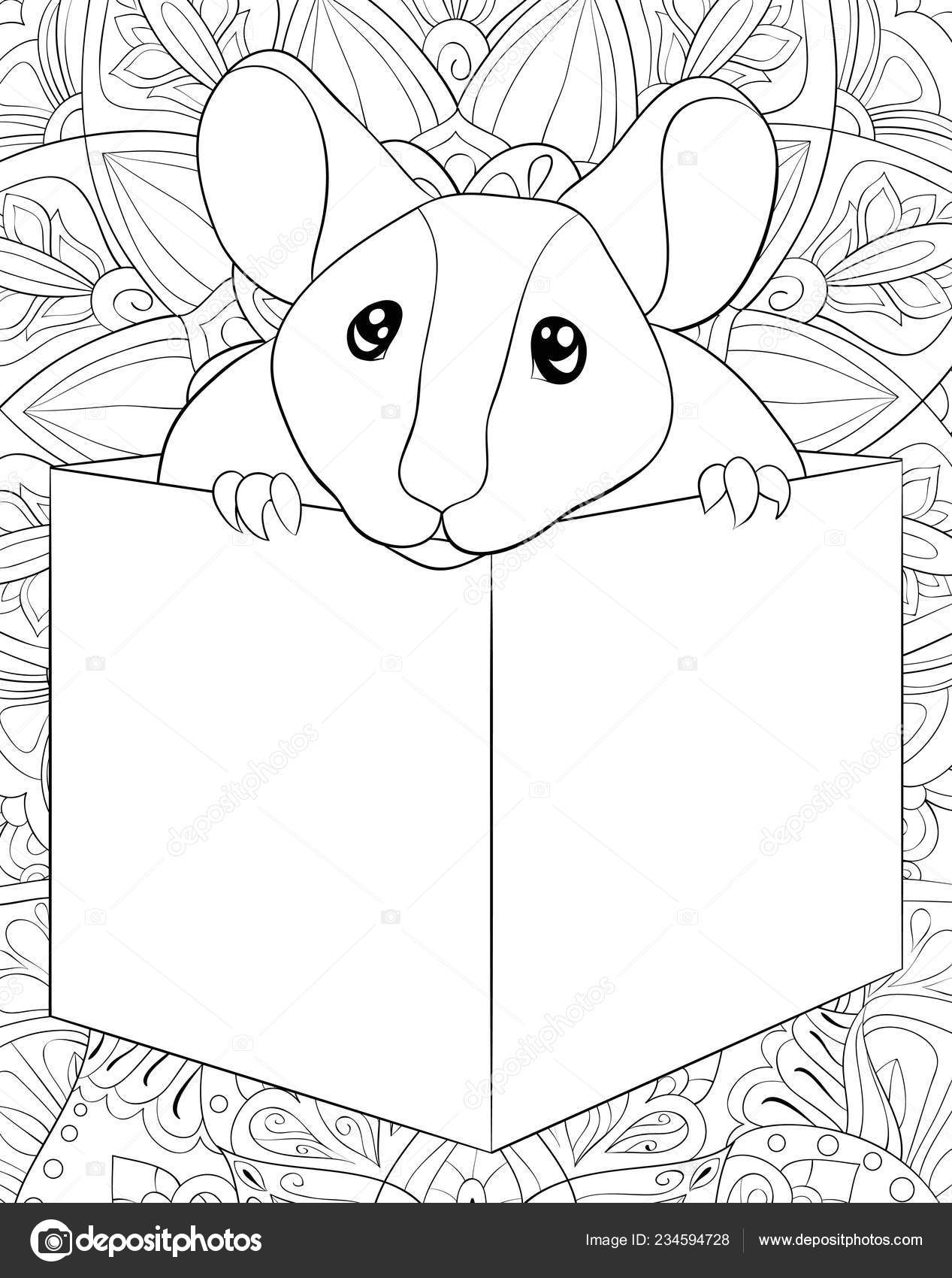 Download Cute Rat Box Abstract Floral Background Ornaments Image Relaxing Activity Vector Image By C Nonuzza Vector Stock 234594728