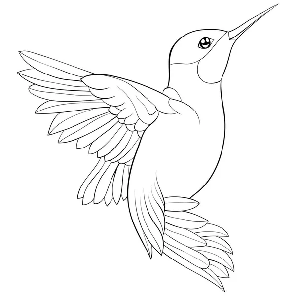 Cute Flying Hummingbird Image Relaxing Coloring Book Page Adults Children — Stock Vector