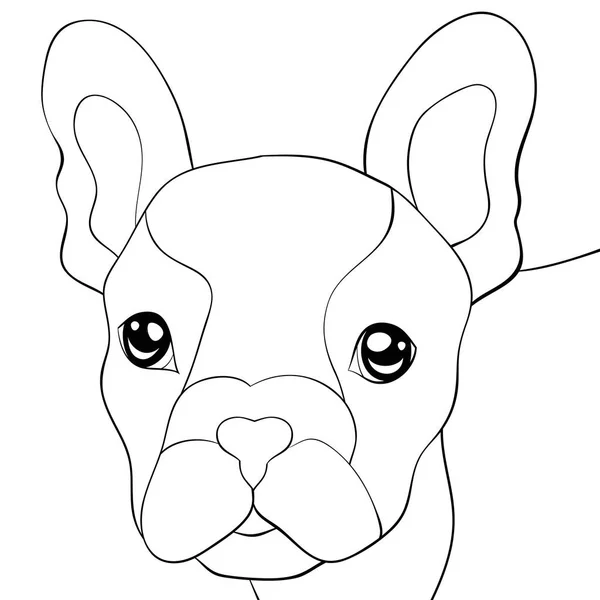 Cute Dog Image Relaxing Activity Coloring Book Page Adults Children — Stock Vector