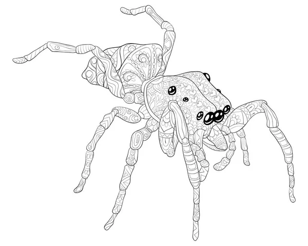 Cute Spider Image Relaxing Activity Coloring Book Page Adults Zen — стоковый вектор