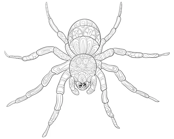 Cute Spider Image Relaxing Activity Coloring Book Page Adults Zen — стоковый вектор