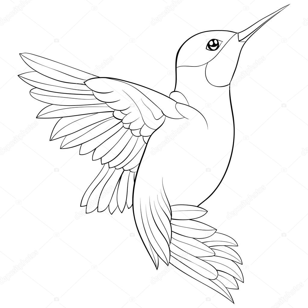 A cute flying hummingbird image for relaxing.A coloring book,page for adults and children.Line art style illustration for print.Poster design.