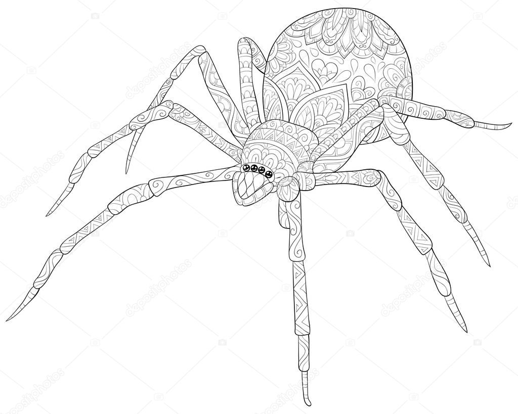 A cute spider image for relaxing activity.A coloring book,page for adults.Zen art style illustration for print.Poster design.