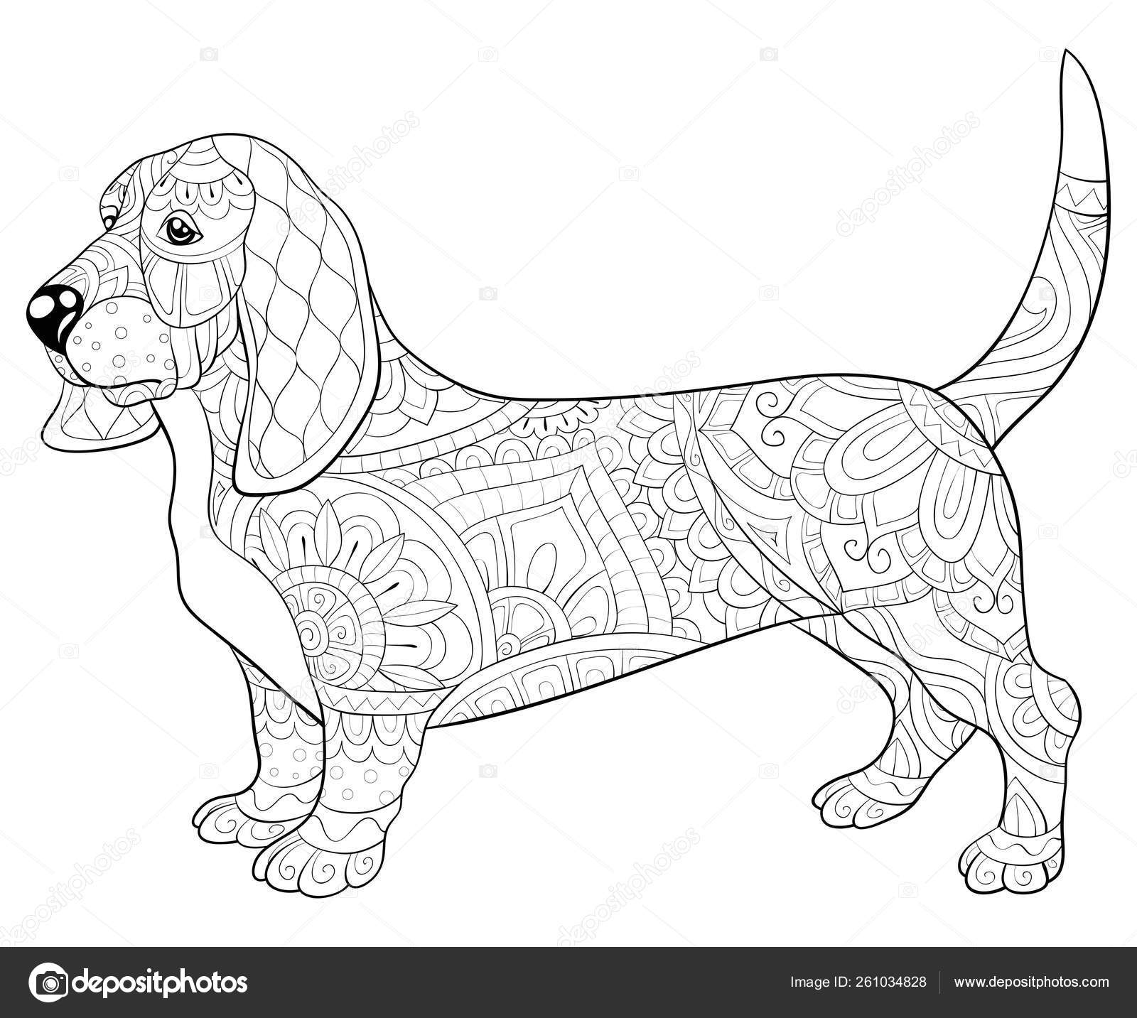 Download Adult Coloring Book Page A Cute Dog With Ornaments Image For Rel Stock Vector Image By C Nonuzza 261034828