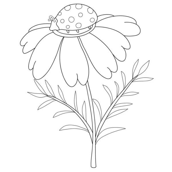 Cute Ladybird Camomile Image Relaxing Activity Coloring Book Page Children — стоковый вектор