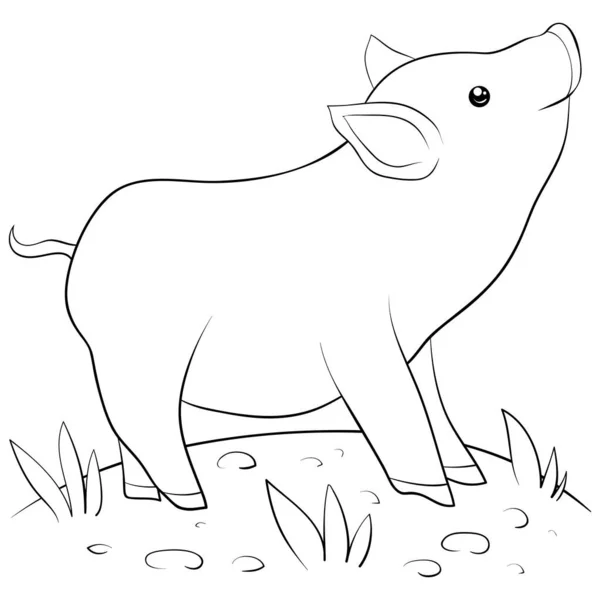 リラックスしたアクティビティのためのかわいい漫画の豚の画像 子供のための着色ページ — ストックベクタ