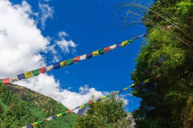 Himalayalar doğası