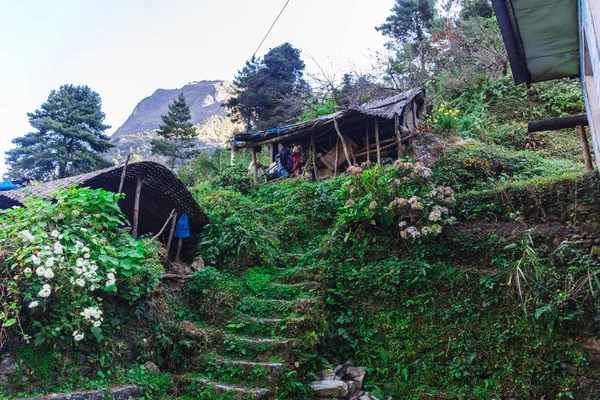 Naturaleza del Himalaya — Foto de Stock