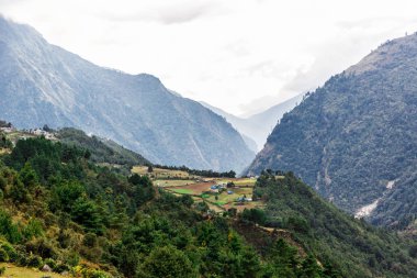 Himalayalar doğası