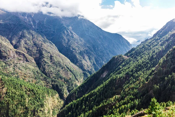 Nature of the Himalayas — Stock Photo, Image