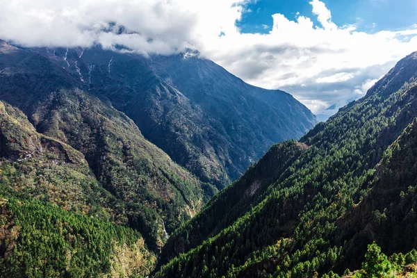 Natura dell'Himalaya — Foto Stock