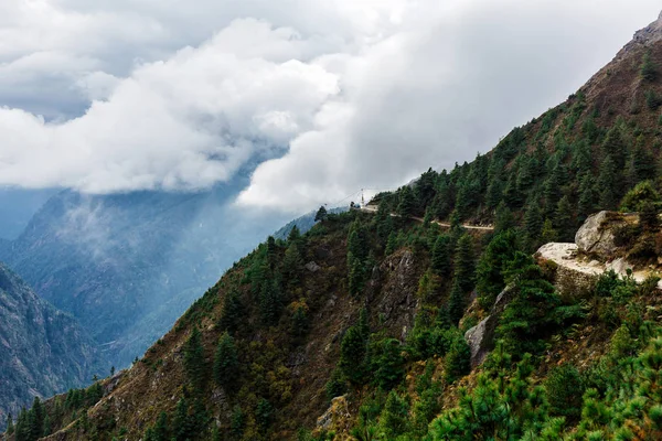 Natur des Himalaya — Stockfoto