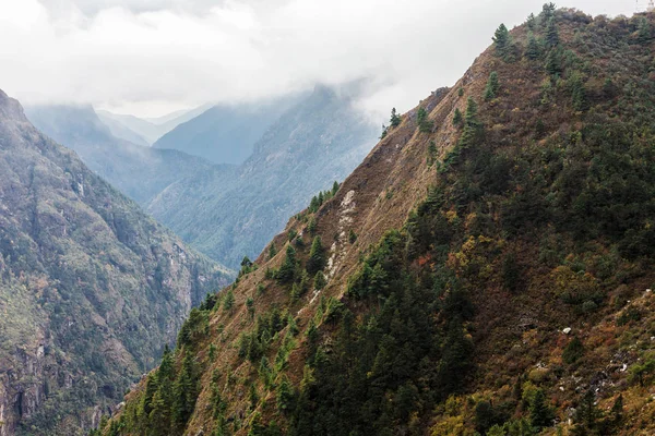 Natur des Himalaya — Stockfoto