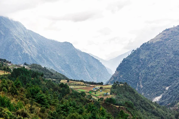 Aard van de Himalaya — Stockfoto