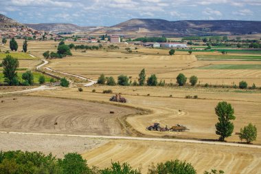 Güzel doğal manzara