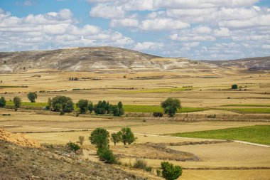 Güzel doğal manzara