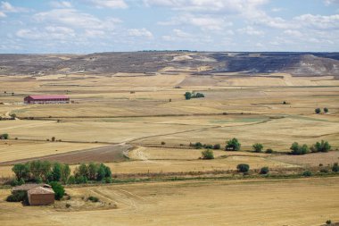 Güzel doğal manzara