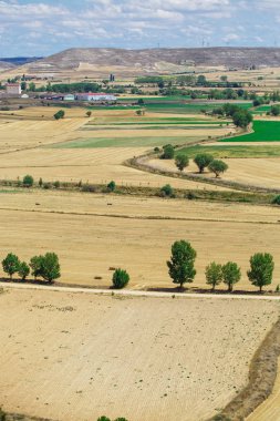 Güzel doğal manzara