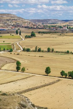 Güzel doğal manzara