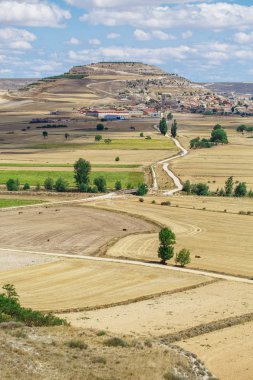 Güzel doğal manzara