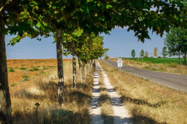 Güzel doğal manzara