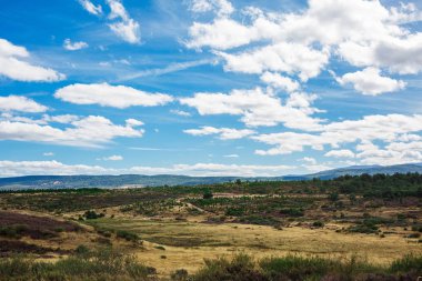 Güzel doğal manzara
